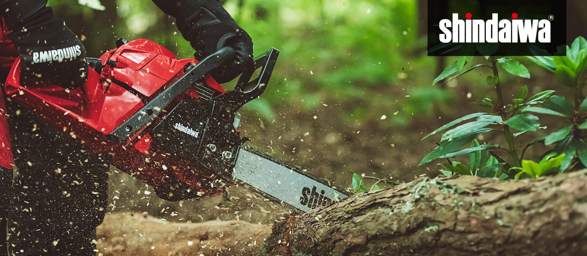 slide bg