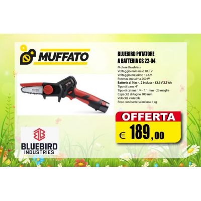 BLUEBIRD POTATORE A BATTERIA CS 22-04